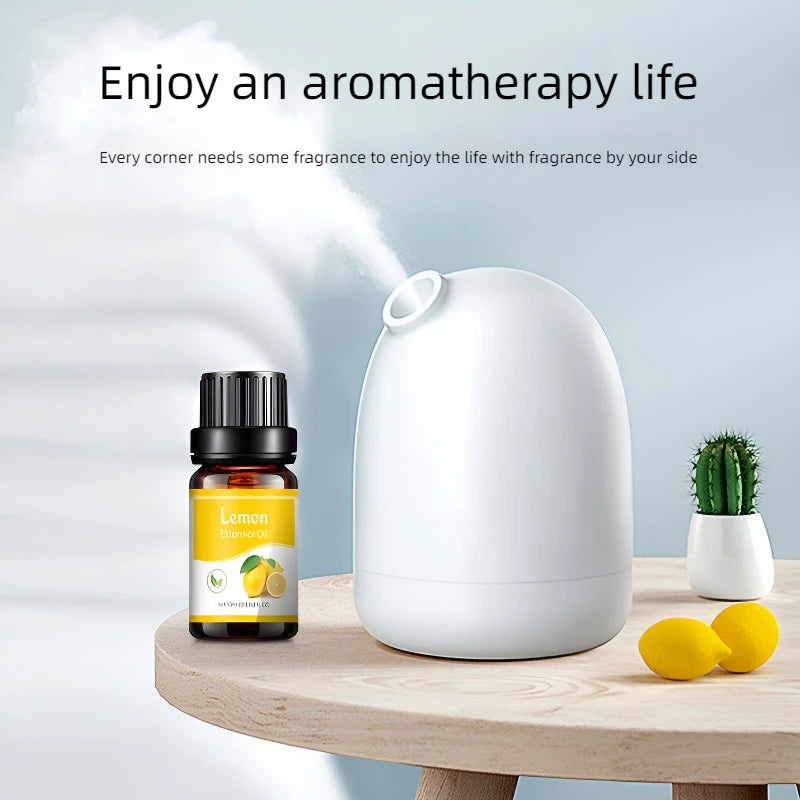 Aroma Diffuser Air Humidifier Scented Essential Oils